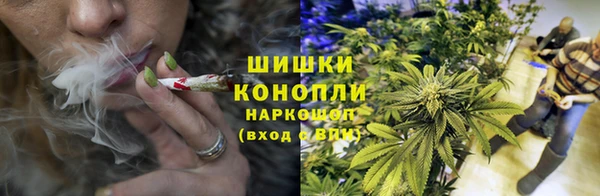 spice Беломорск