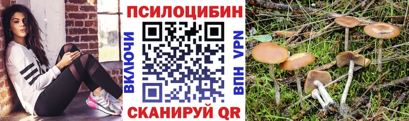 Галлюциногенные грибы мухоморы  хочу   Олёкминск 